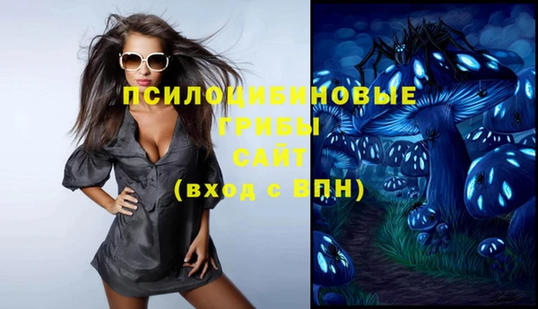 спиды Бронницы